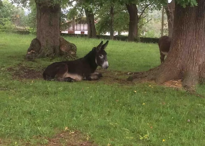 公寓 Ursuya 3 Etoiles De Plain-pied Idealement Situe