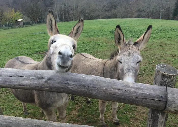 Ursuya 3 Etoiles De Plain-pied Idealement Situe האספארן